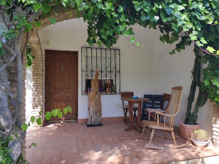 15817ceb-072a-47d6-ad3c-ec41badf3752