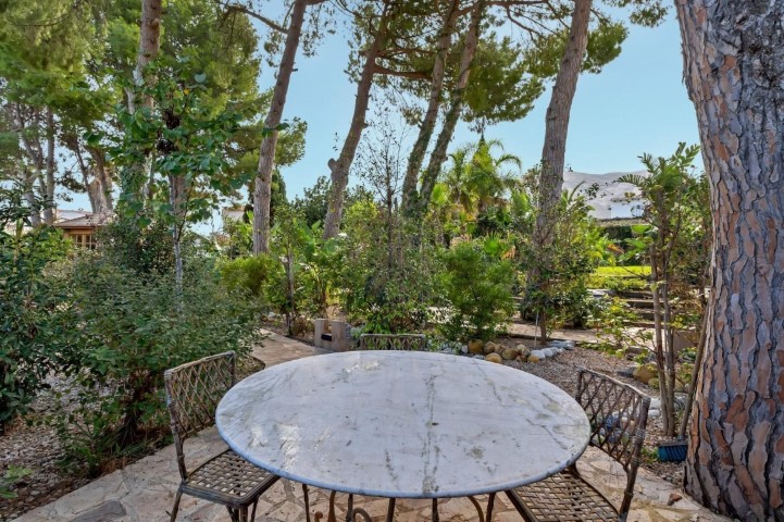 WhatsApp Image 2025-08-27 at 03.59.51 (3)