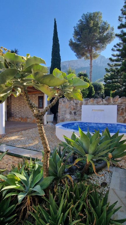 WhatsApp Image 2025-10-24 at 07.52.55 (7)