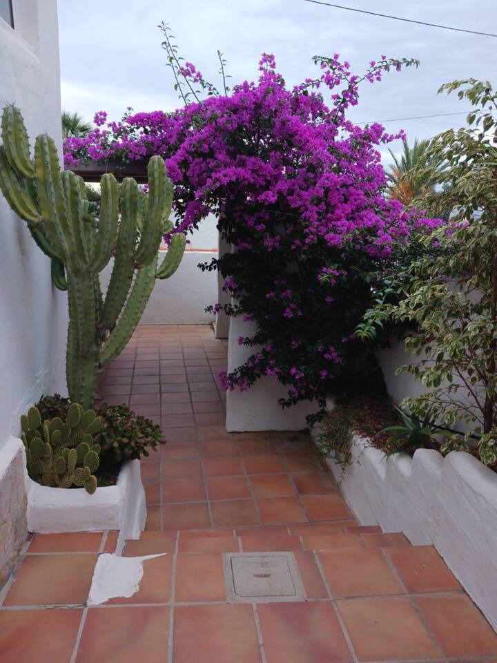 imgi_47_d965eed8-d454-4028-a88a-1e3fee1586d1